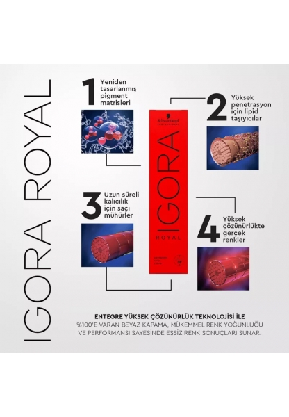 Igora Royal 9,5-1 Pastel Inci Kalıcı Saç Boyası 60 ml